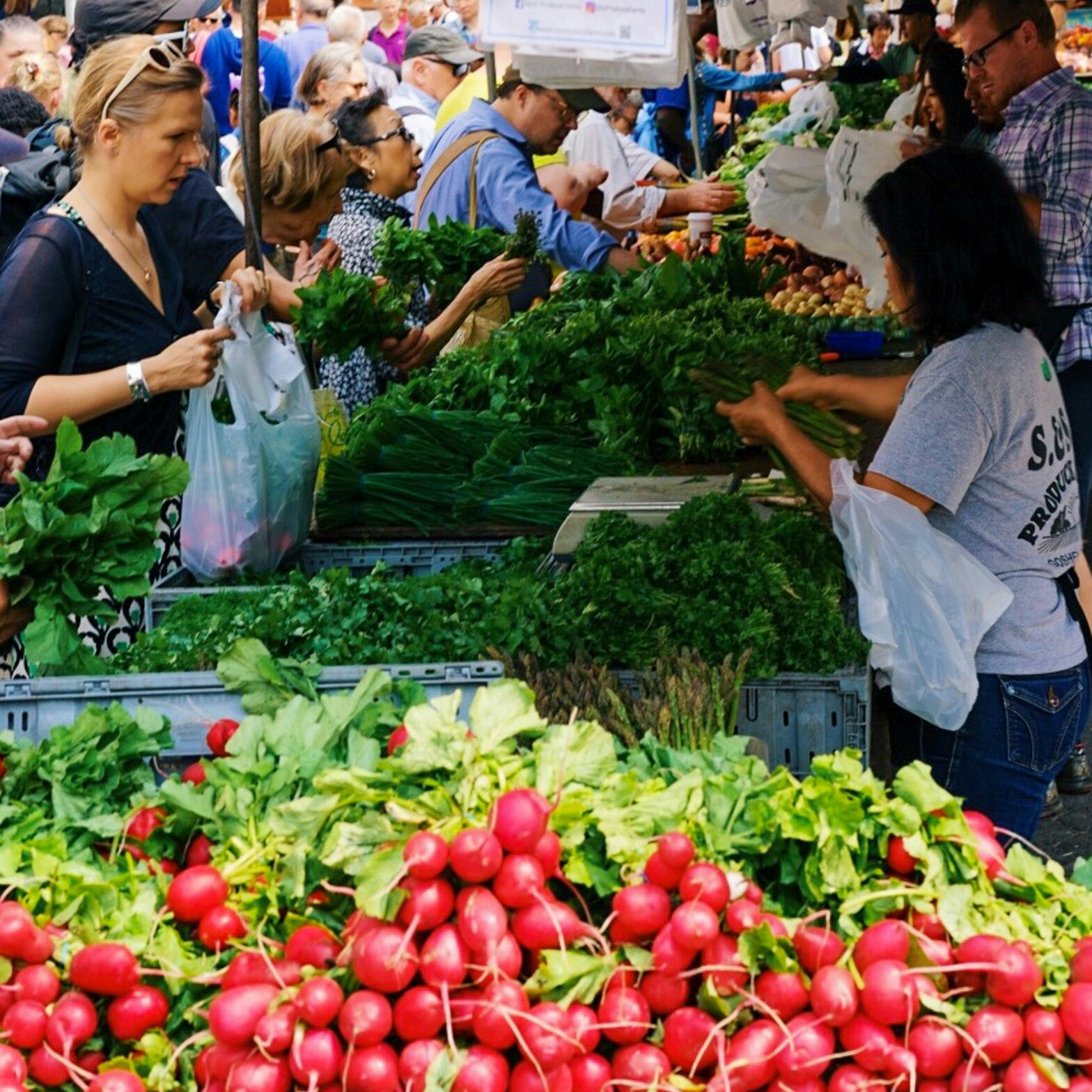 Marché Jean-Talon et la Petite-Italie 